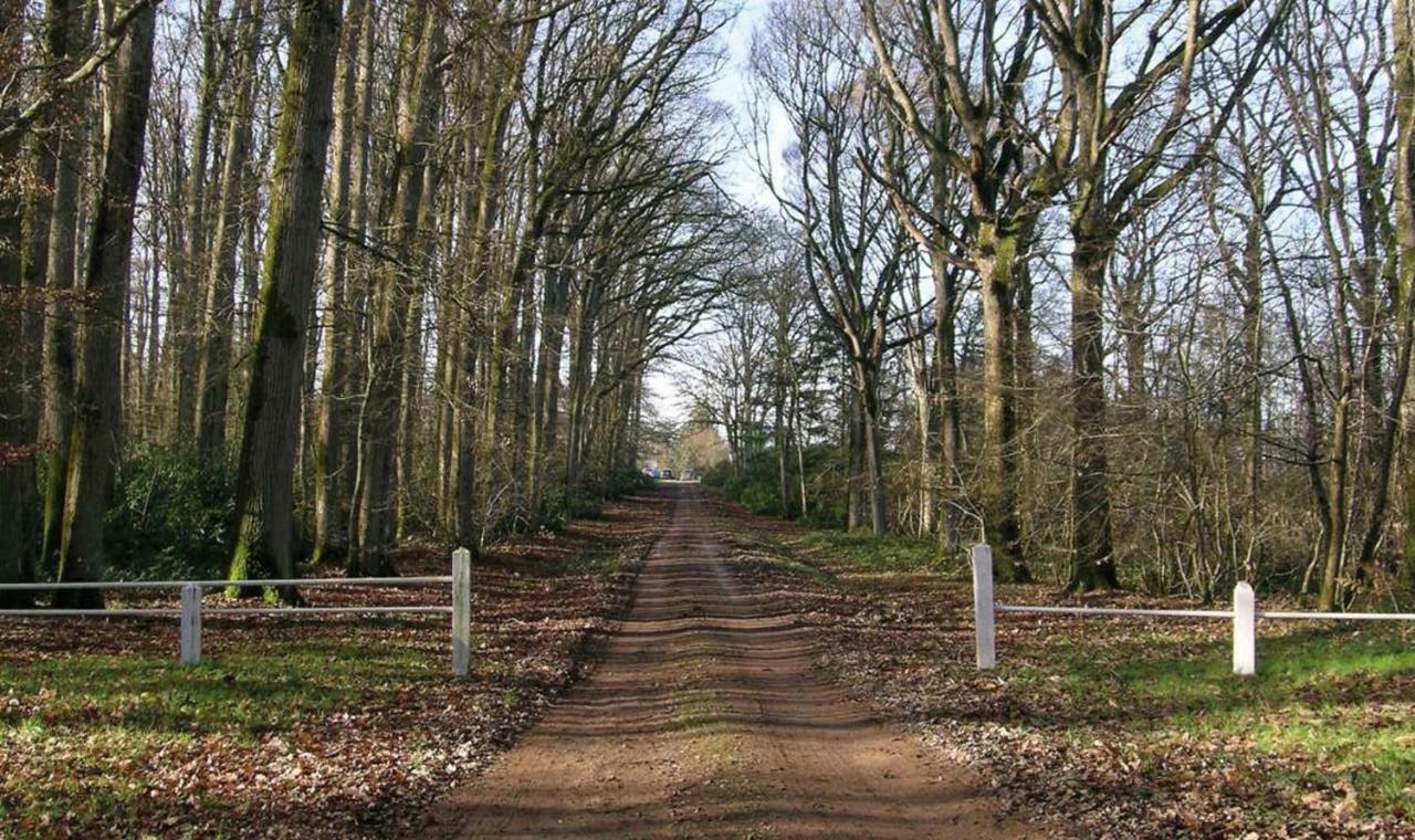 Domaine De La Haute-Porte Souvigné-sur-Sarthe Esterno foto